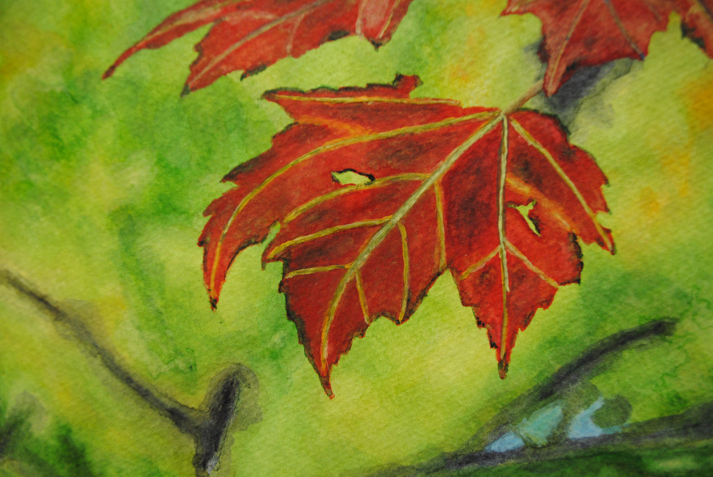 Red maple leaves in autumn