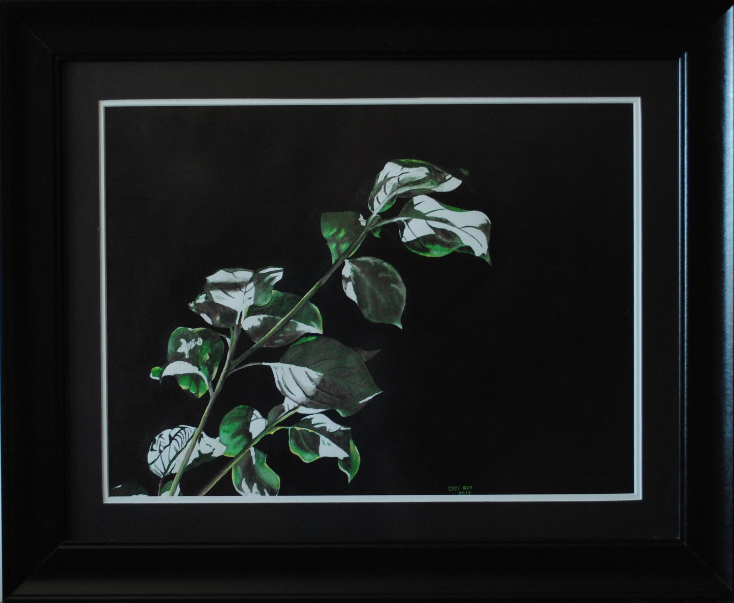 Leaves in a night light