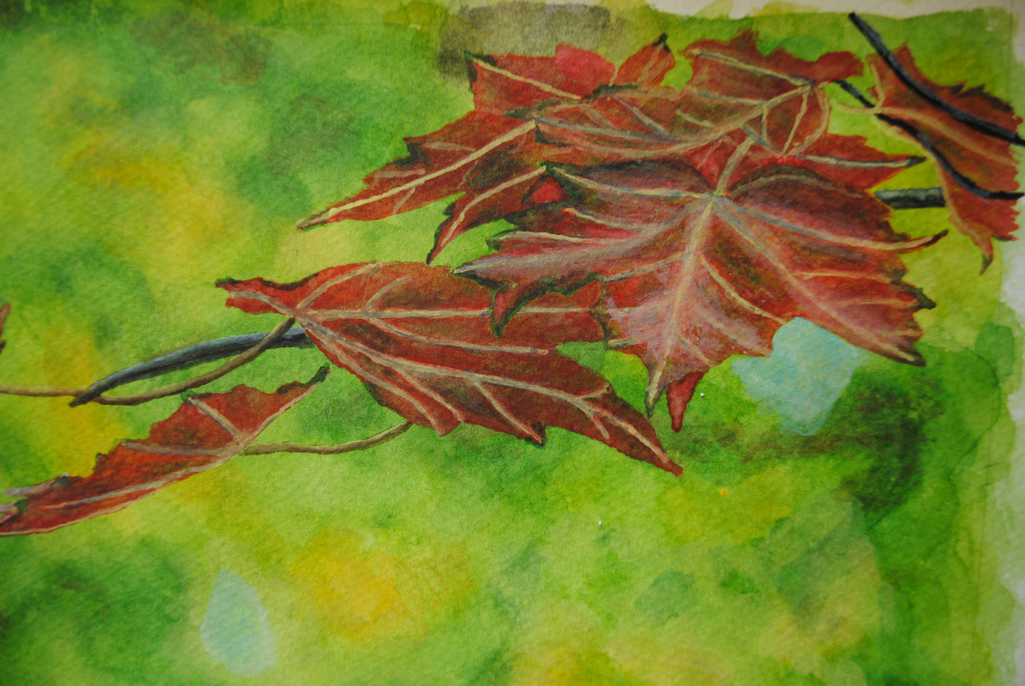 Red maple leaves in autumn